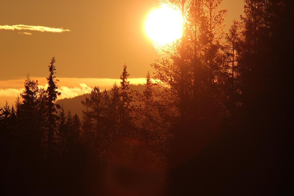 Trysilfjellet Leilighetshotell ห้อง รูปภาพ